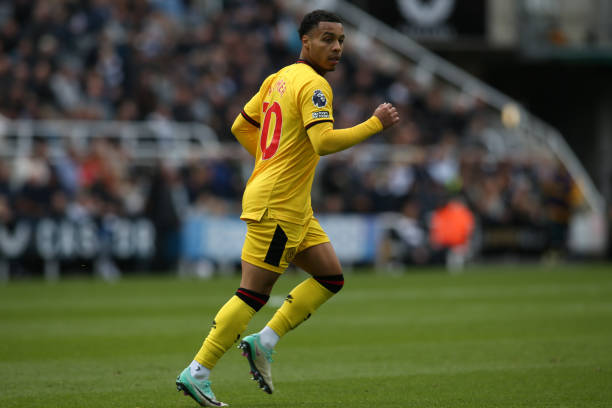 这次调整不 这次调整不