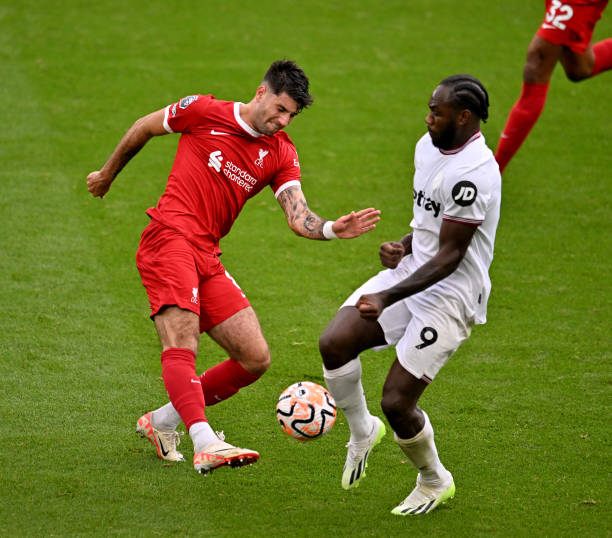 也呈現出鮮 也呈現出鮮