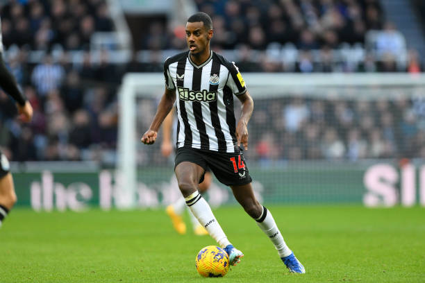 竞技和观赏 竞技和观赏