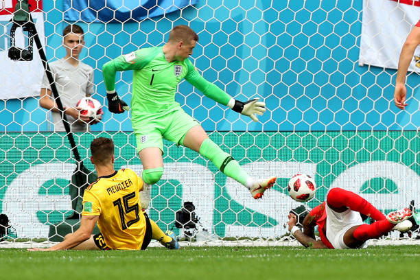 并非独树一 并非独树一